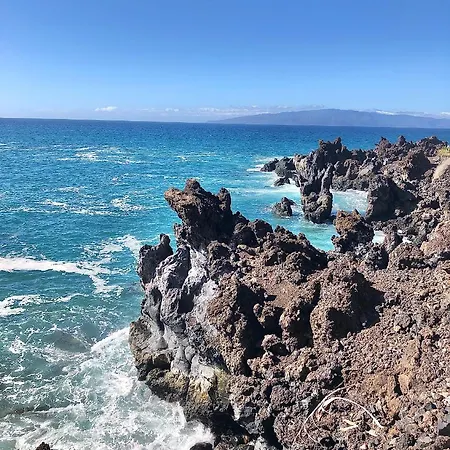 Nautilus Ocean View Loft3 Puerto de Santiago (Tenerife)